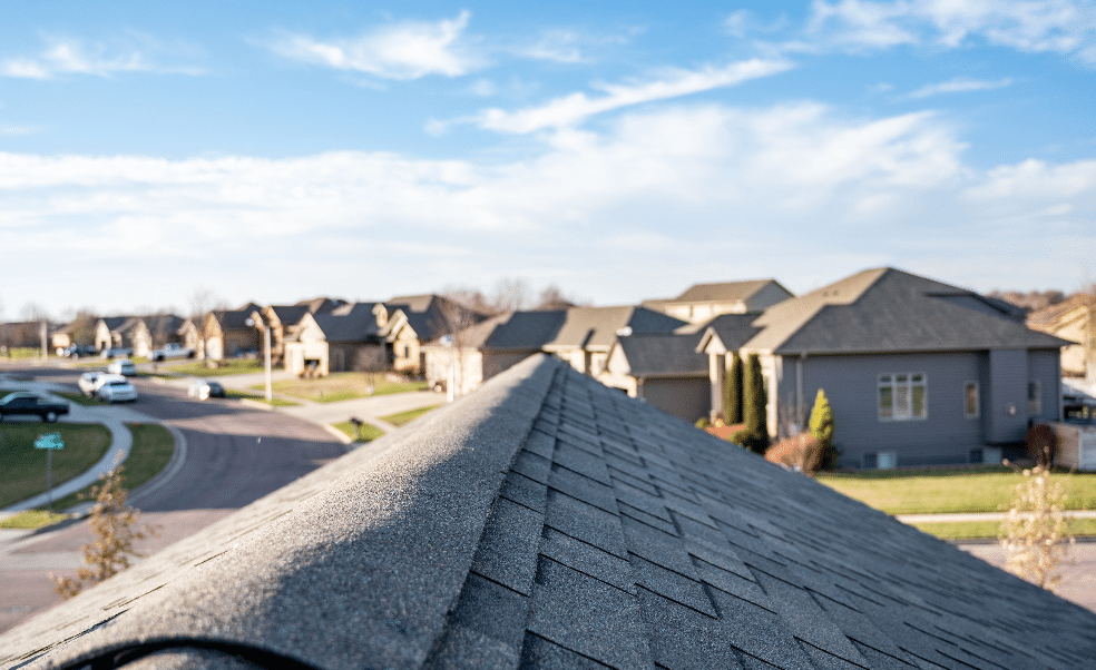 Roofing Shingles and Spine