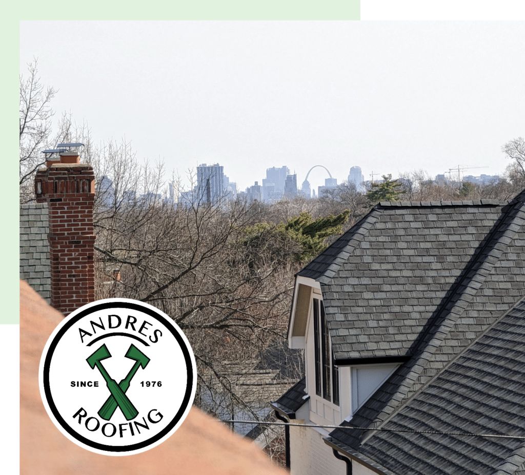St Louis city Skyline and roof